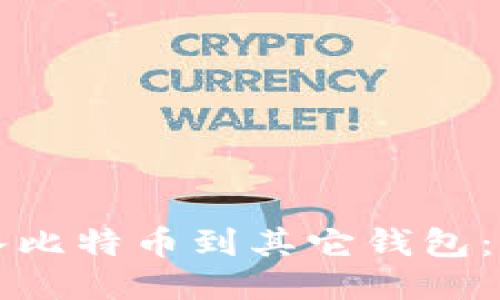 如何导入比特币到其它钱包：详细指南