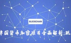 2023年中国货币加密项目全面解析：现状与前景