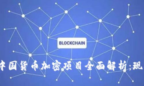 2023年中国货币加密项目全面解析：现状与前景