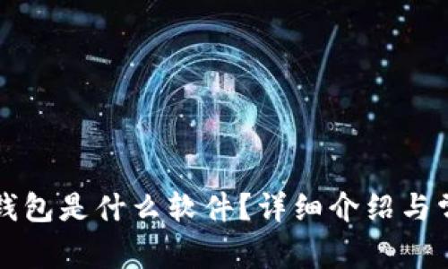 比特币官方钱包是什么软件？详细介绍与常见问题解答