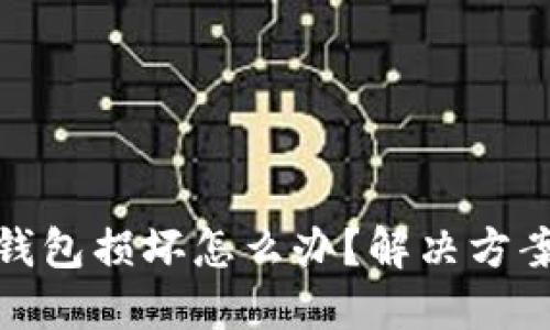 比特币硬件钱包损坏怎么办？解决方案与预防措施