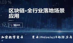 探索加密数字货币——星云（Nebulas）的潜力与未