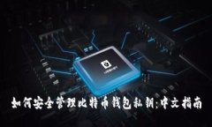 如何安全管理比特币钱包私钥：中文指南