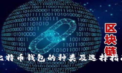 比特币钱包的种类及选择指南