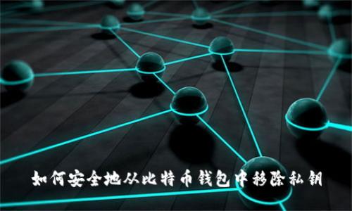 如何安全地从比特币钱包中移除私钥