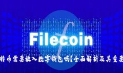 比特币需要放入数字钱包吗？全面解析及其重要