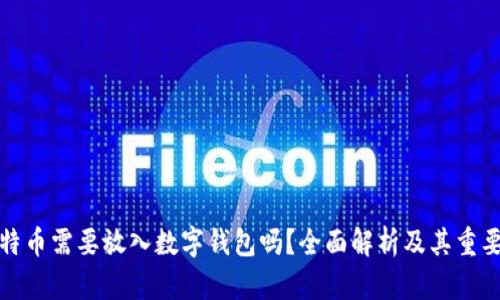 比特币需要放入数字钱包吗？全面解析及其重要性