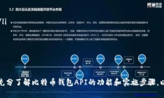   iOS比特币钱包API的最佳实践与实现 /  guanjianci