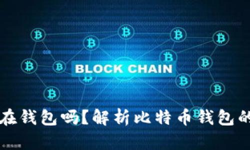 比特币必须存在钱包吗？解析比特币钱包的必要性与功能